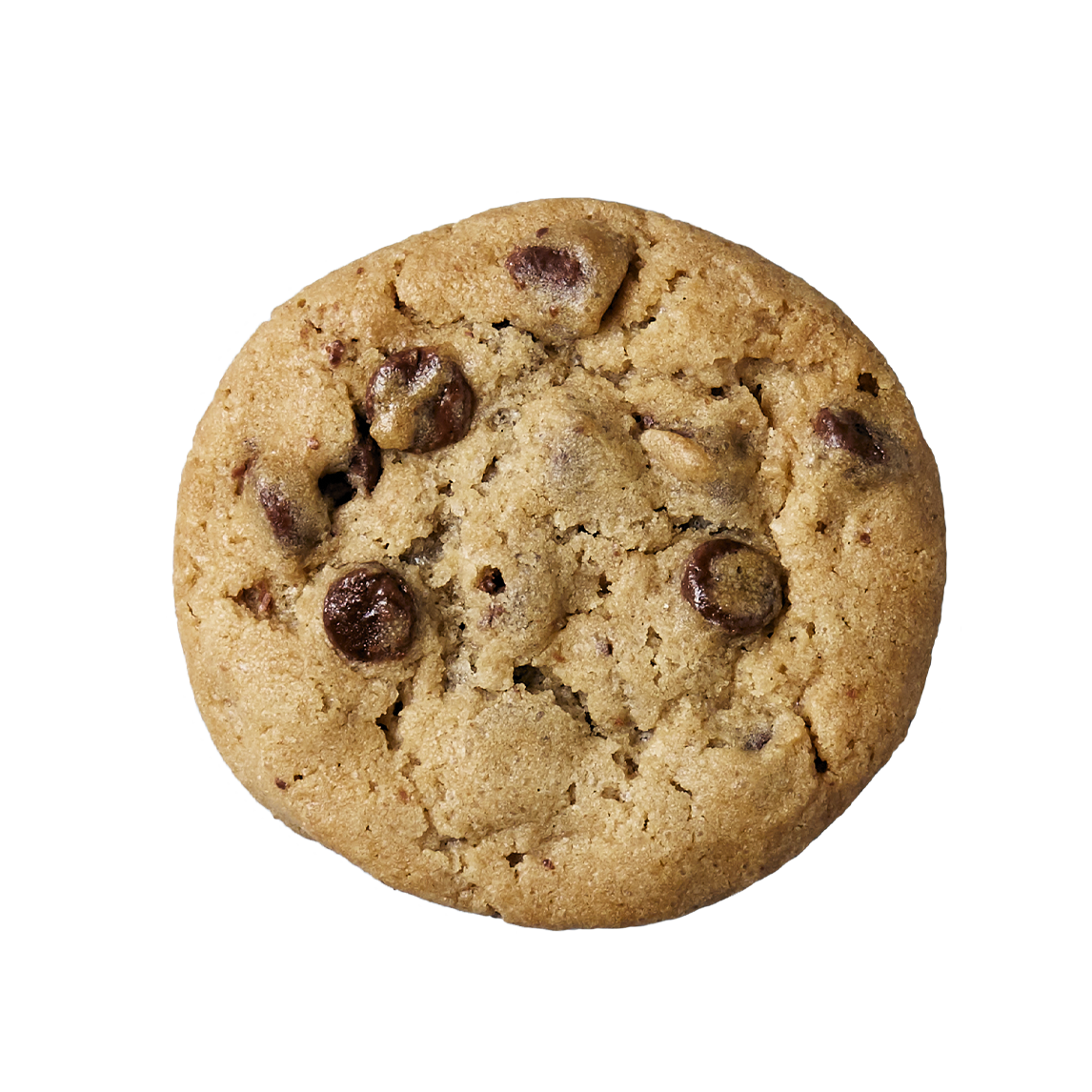 牛奶巧克力粒餅乾 5片