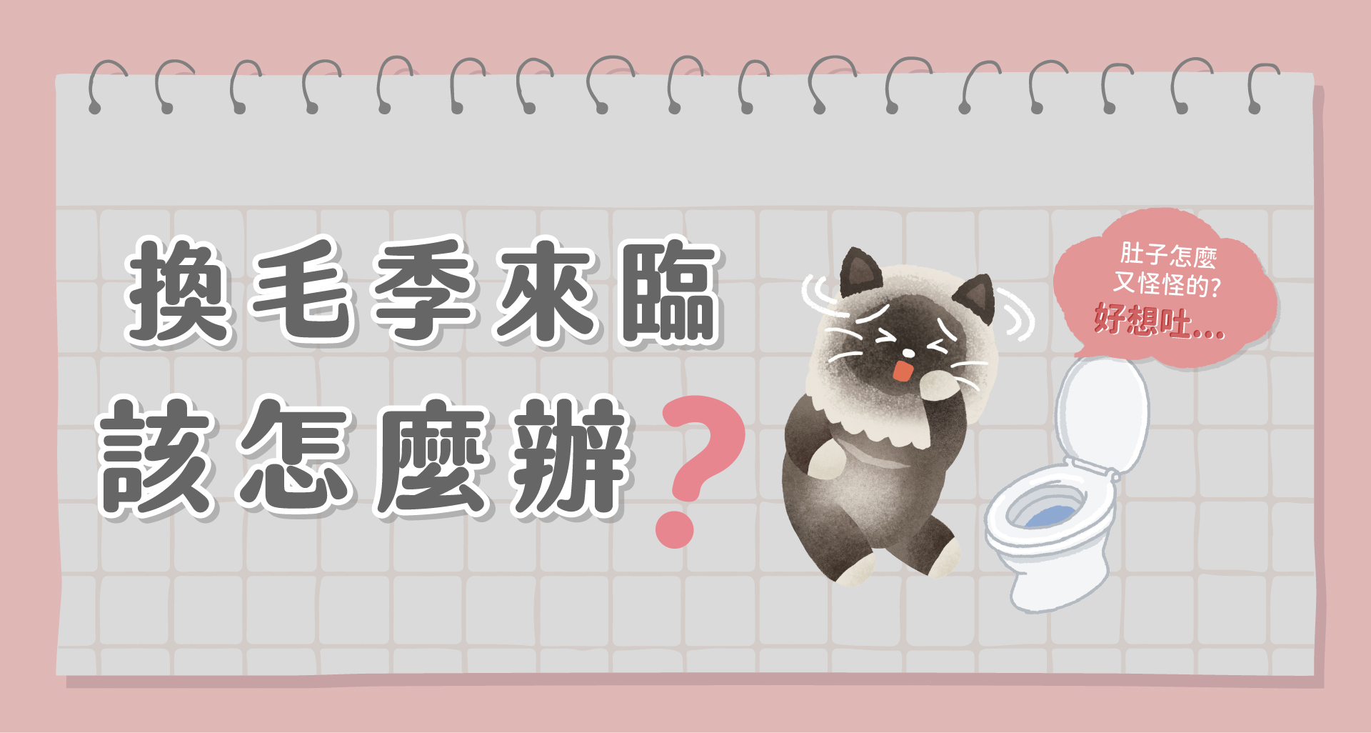 換毛季來臨毛孩保養小秘訣