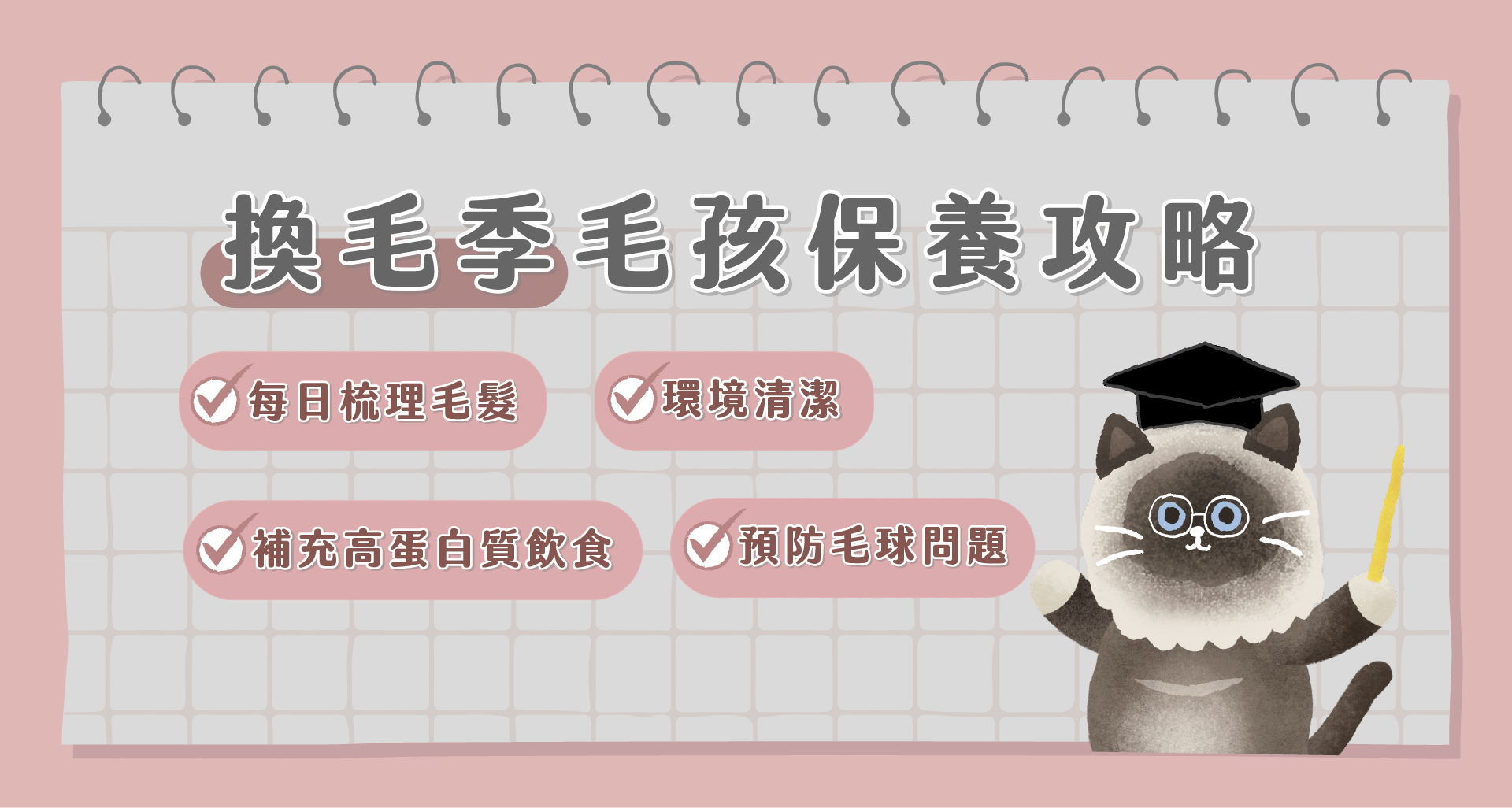換毛季毛孩改怎麼保養