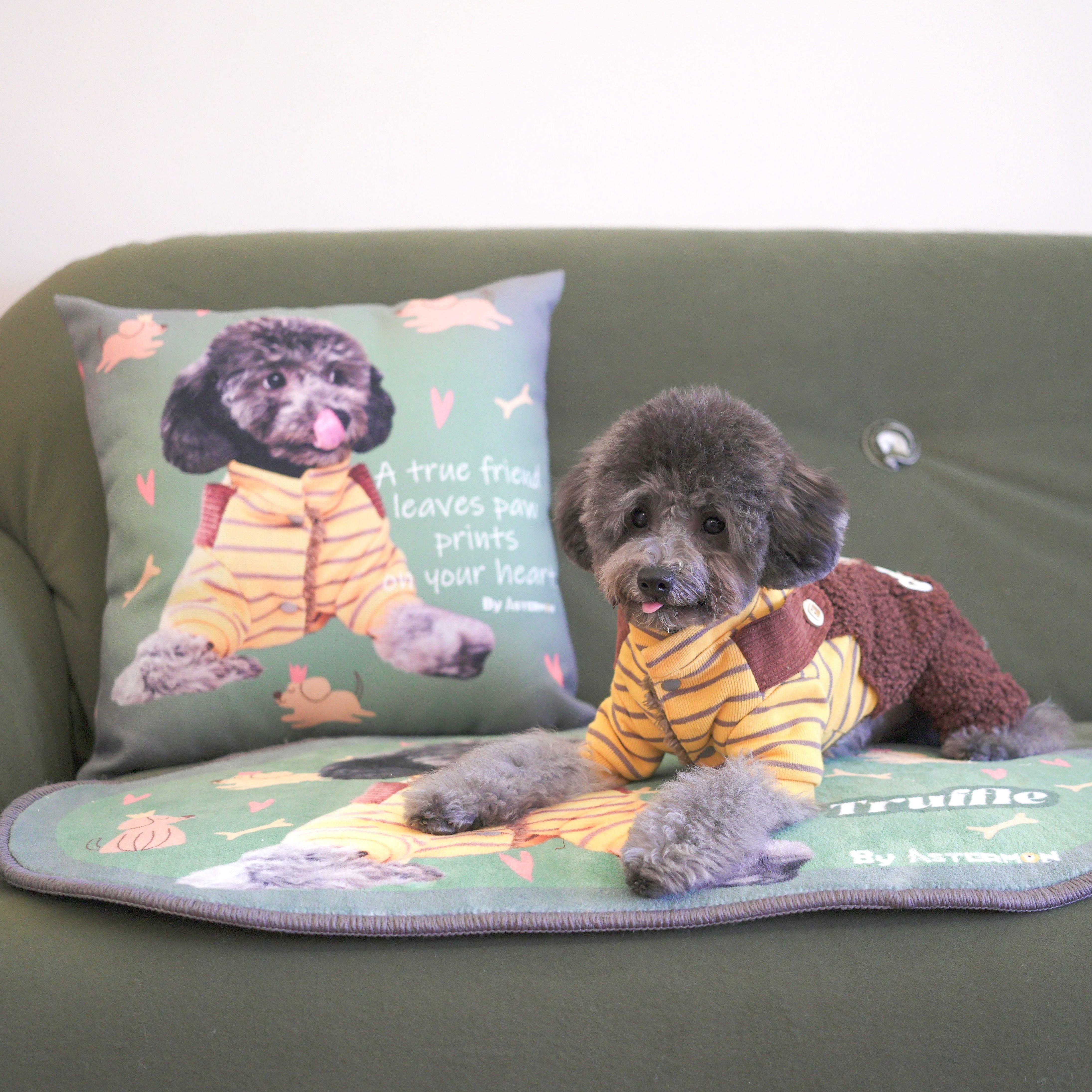 Emerald Fairyland Cushion