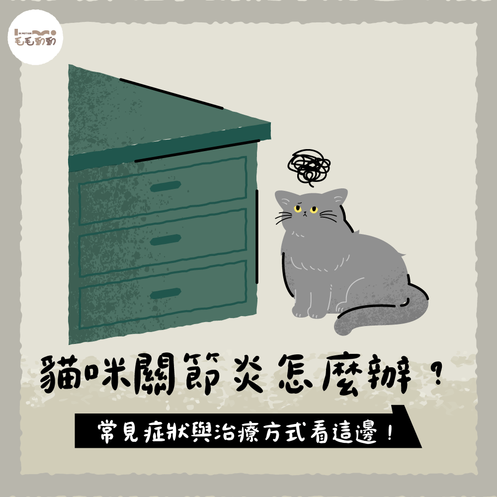 貓咪關節炎怎麼辦？常見症狀與治療方式看這邊！