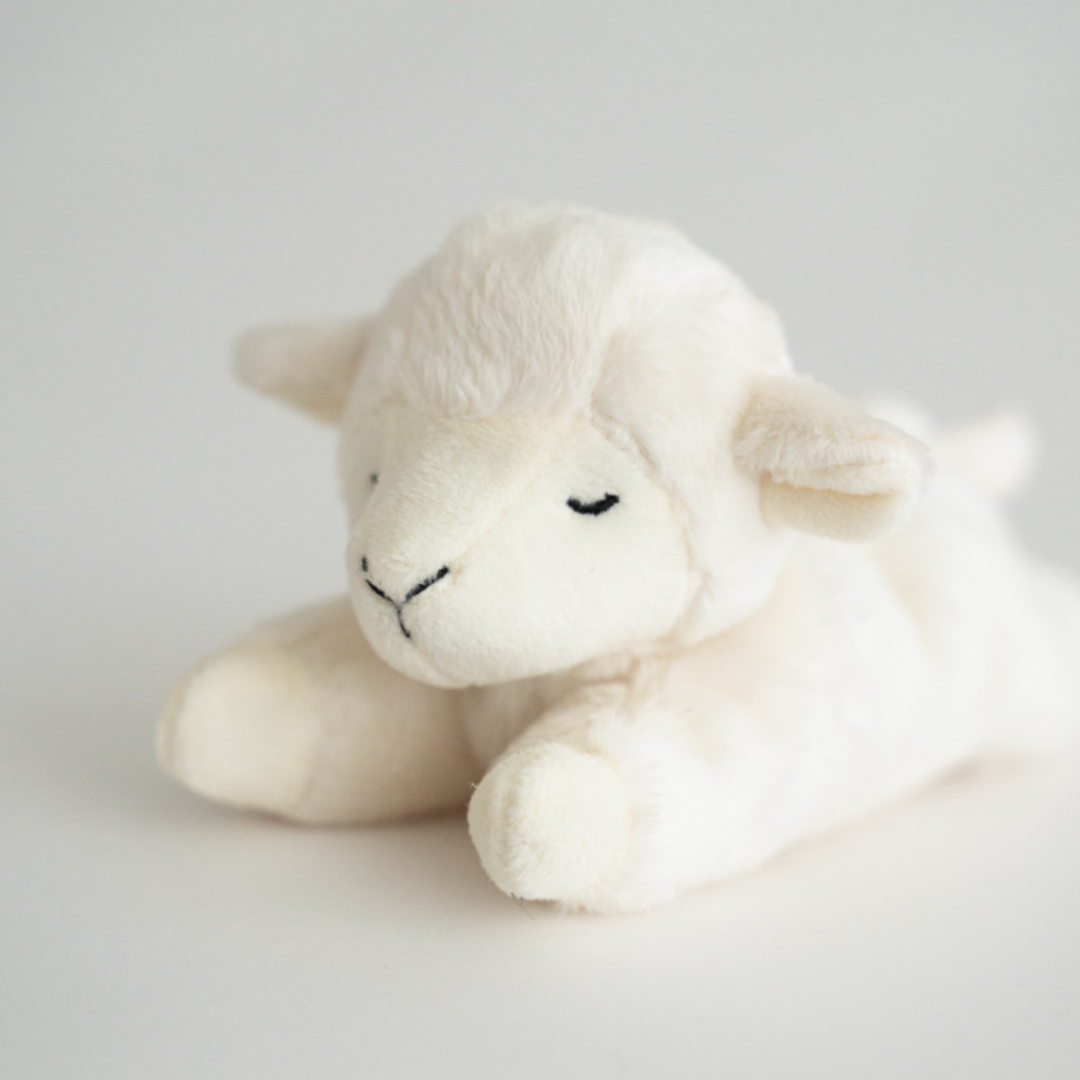 Ours lippu Buddy Lamb小羊