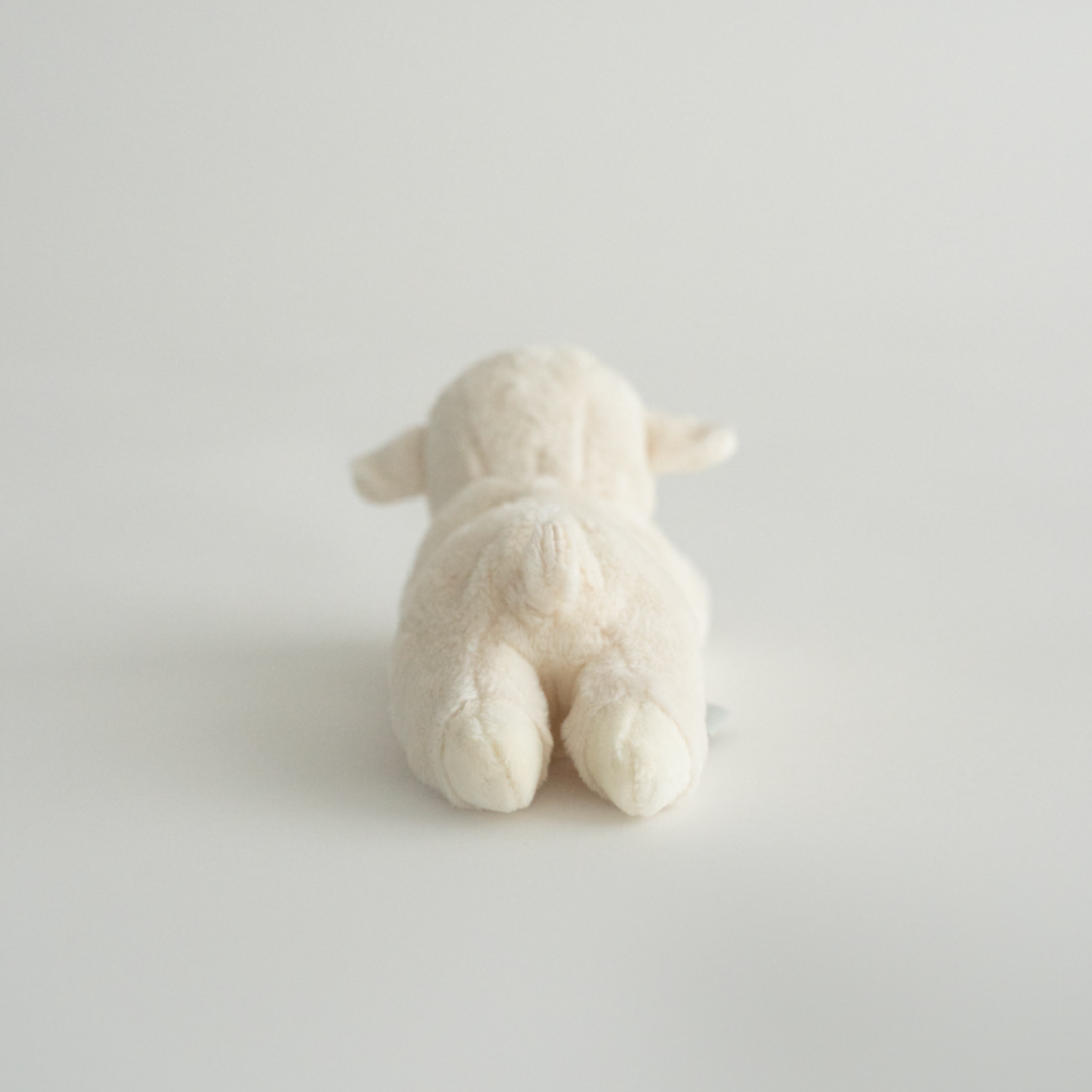 Ours lippu Buddy Lamb小羊