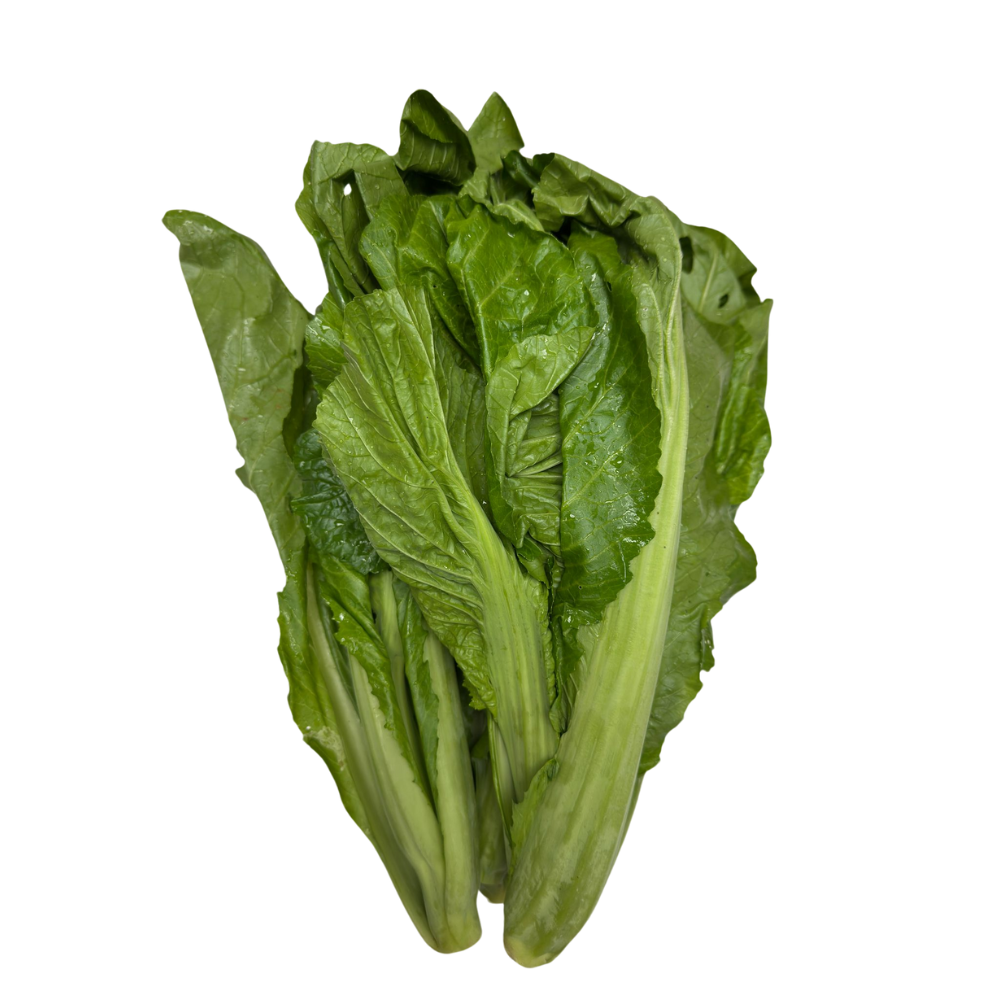 Local Organic Mustard (CATTY)