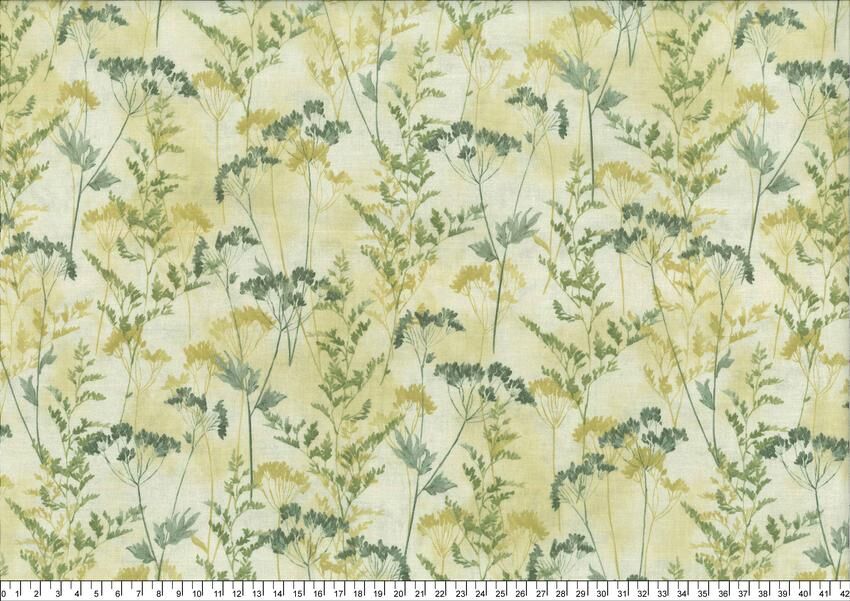 進口棉布R250220-016(一尺)