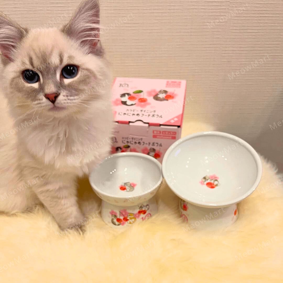 【日本Mofusand x 猫壱】櫻花限定版｜高腳碗 (日本直送)