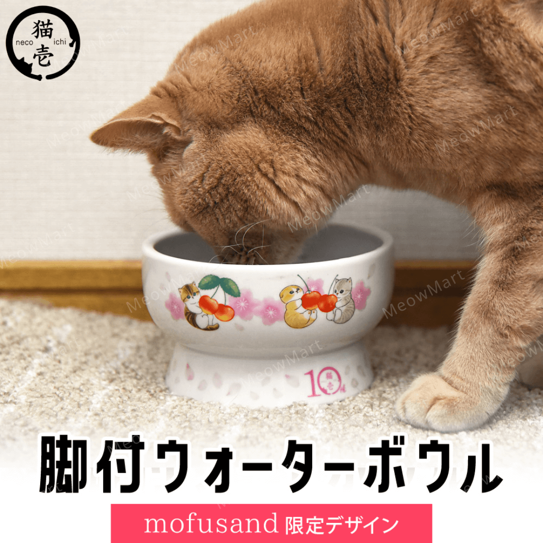 【日本Mofusand x 猫壱】櫻花限量版｜高腳水碗 (日本直送)