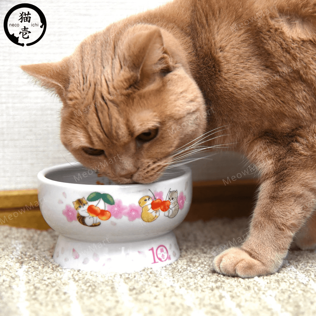 【日本Mofusand x 猫壱】櫻花限定版｜高腳水碗 (日本直送)