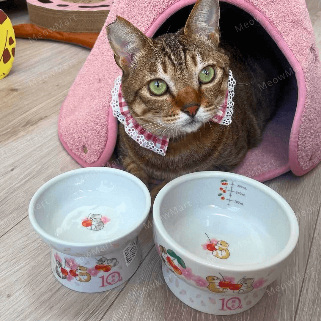 【日本Mofusand x 猫壱】櫻花限定版｜高腳碗 (日本直送)