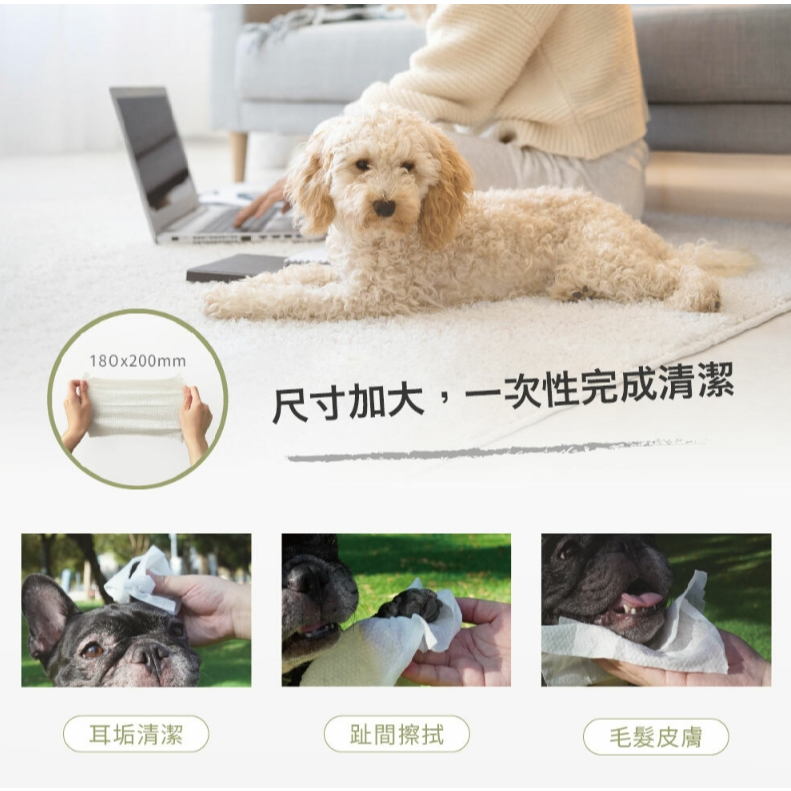 【樂森藥局】PAWLUXE｜金盞花舒敏潔膚寵物濕紙巾 50抽