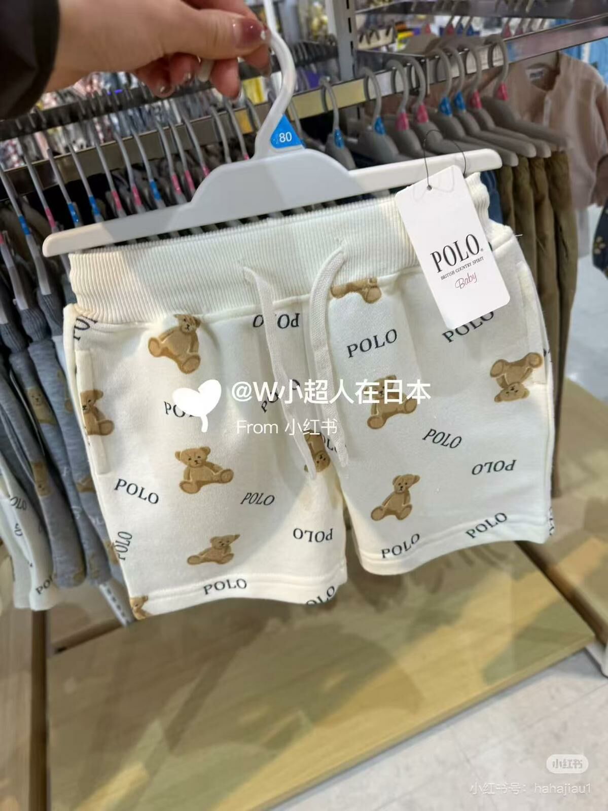 廠單 polo春夏系列