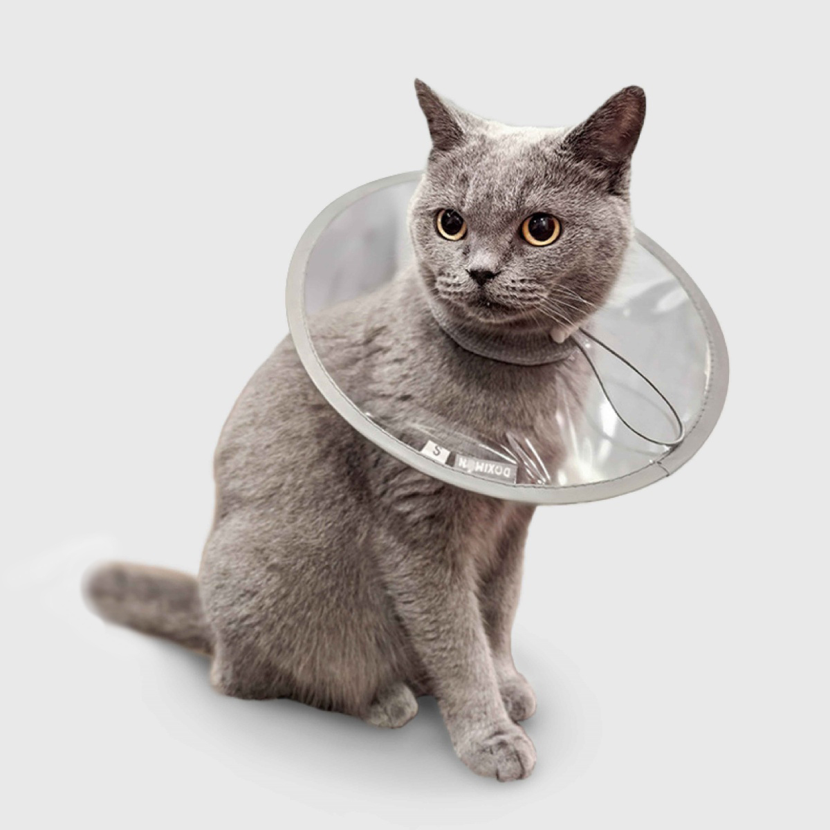 寵物用品｜寵物透明防舔頭套