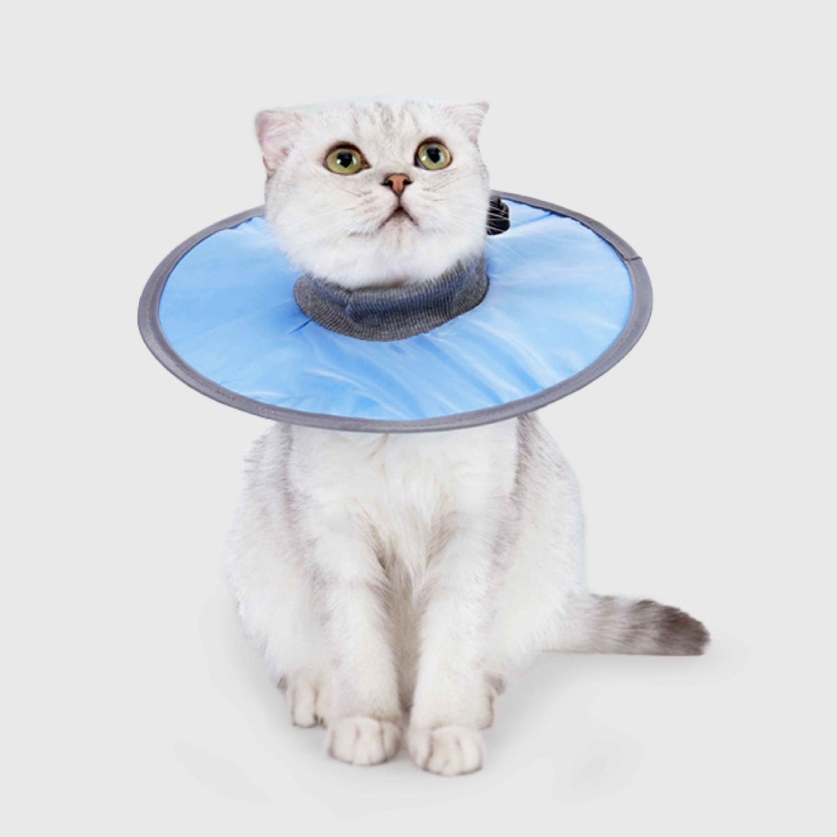 寵物用品｜貓咪術後防舔頭套