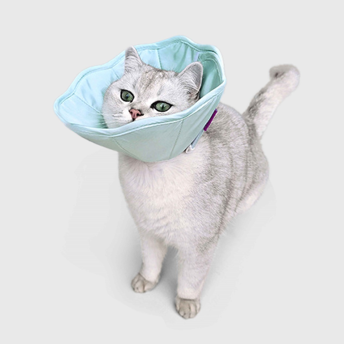 寵物用品｜寵物防舔柔軟頭套