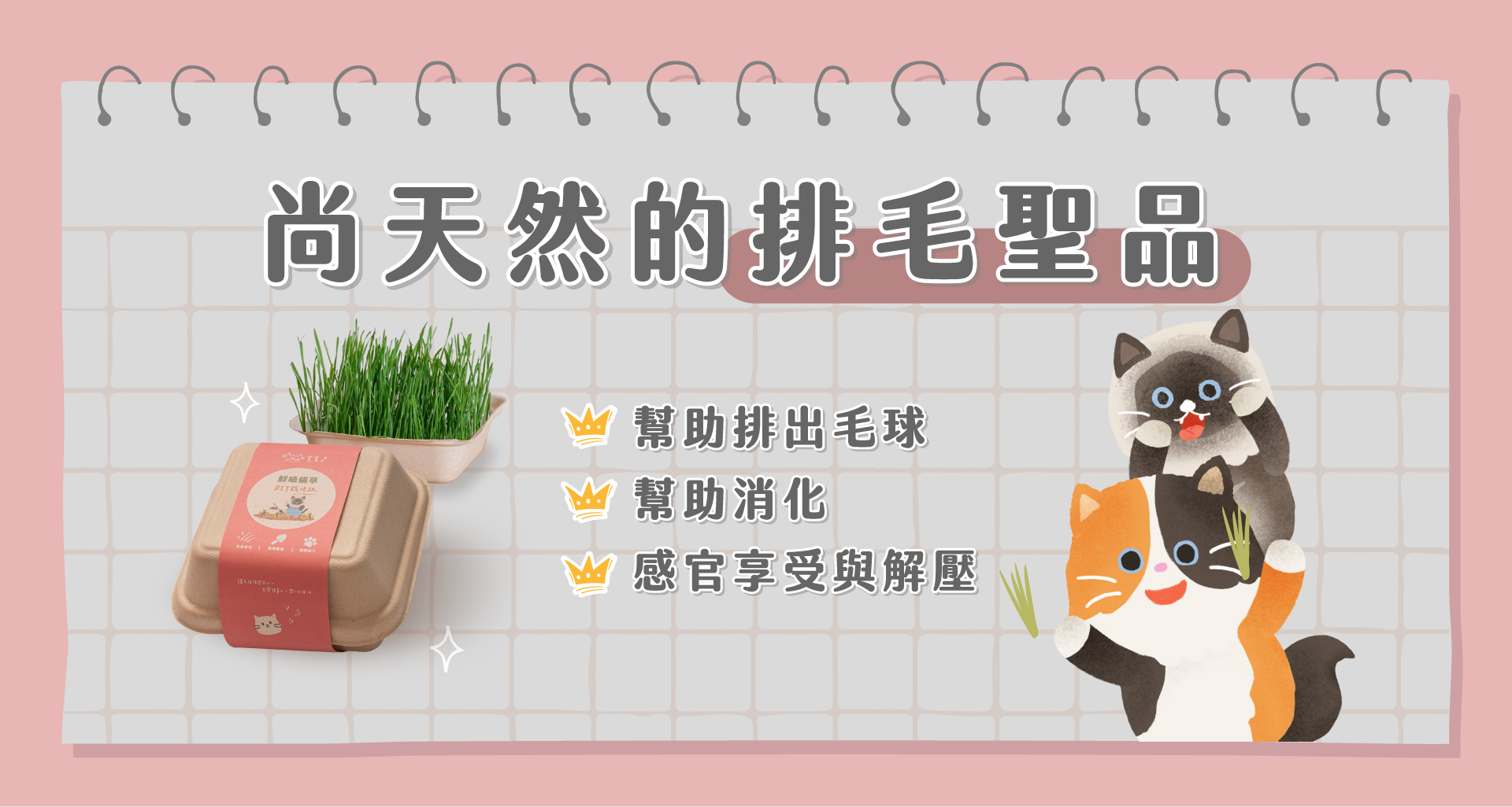 天然的排毛聖品-貓草盆