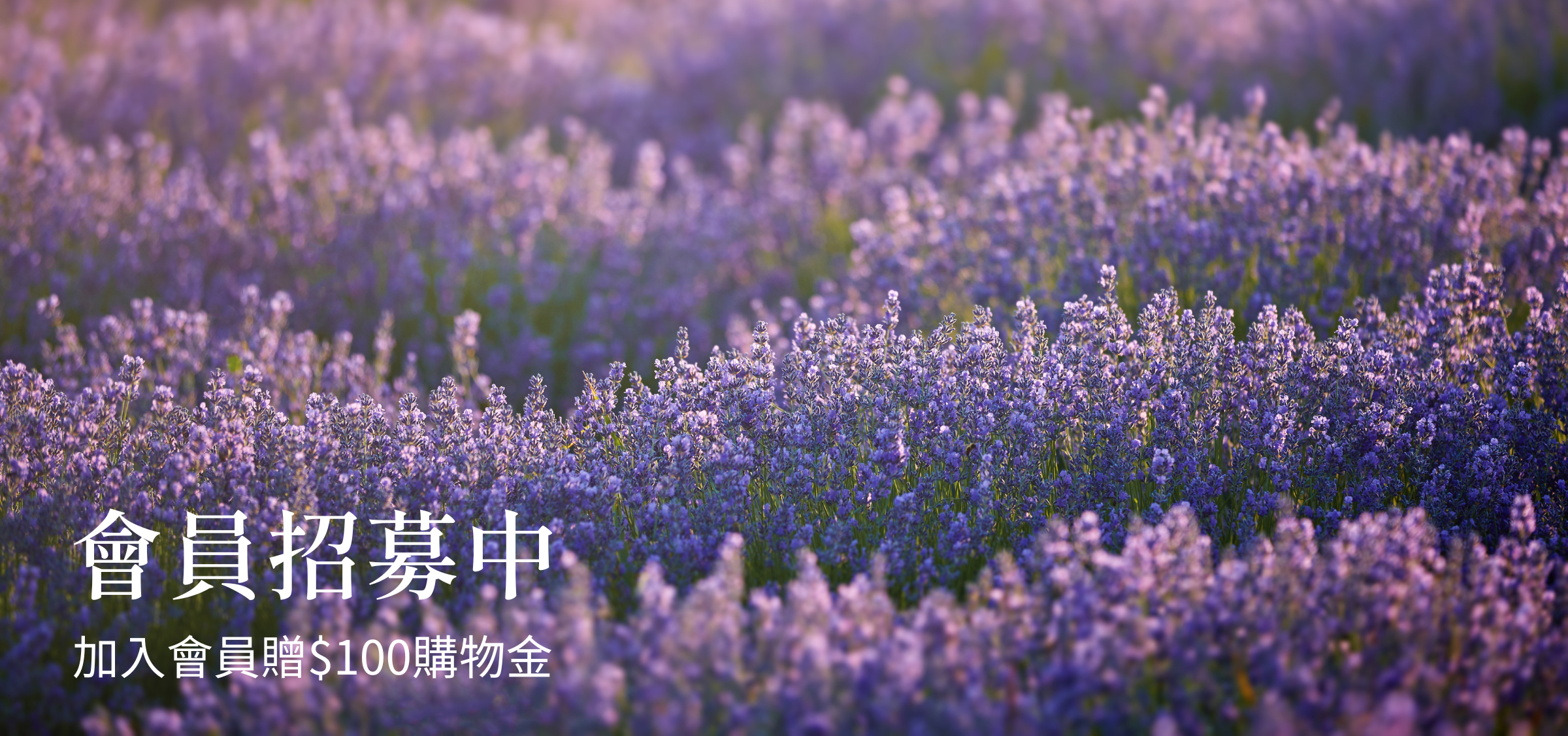 smellscape會員制度