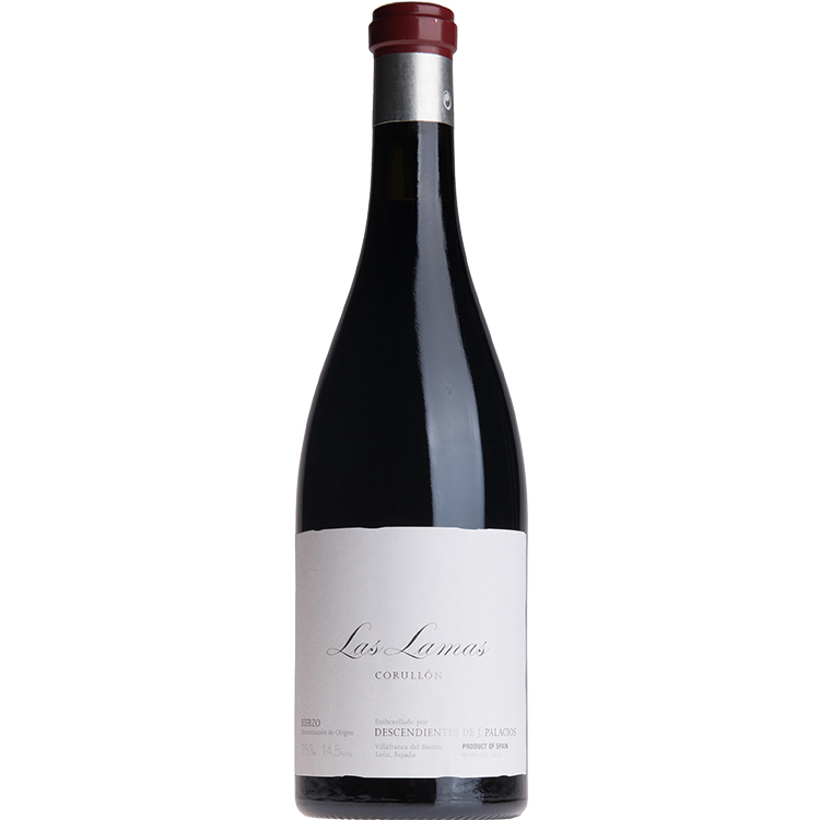 Descendientes de J. Palacios Las Lamas 2019