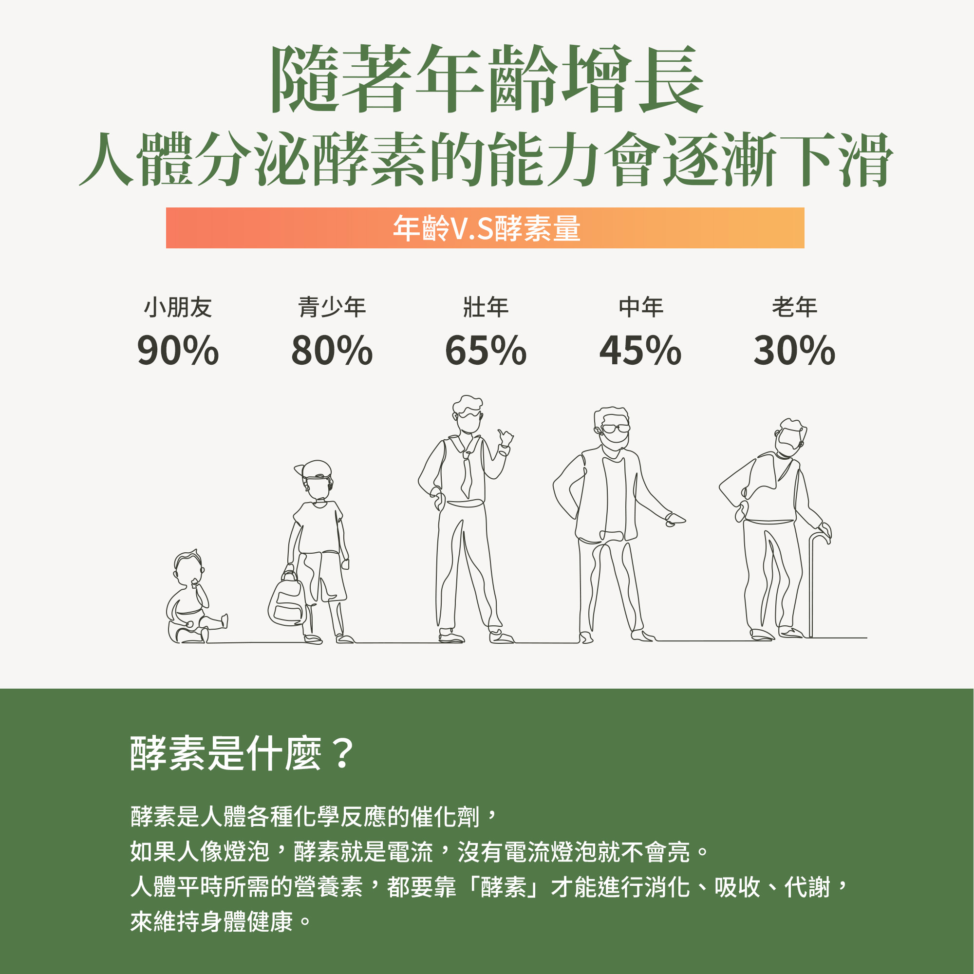 鳳梨木瓜酵素膠囊 (90顆/瓶)