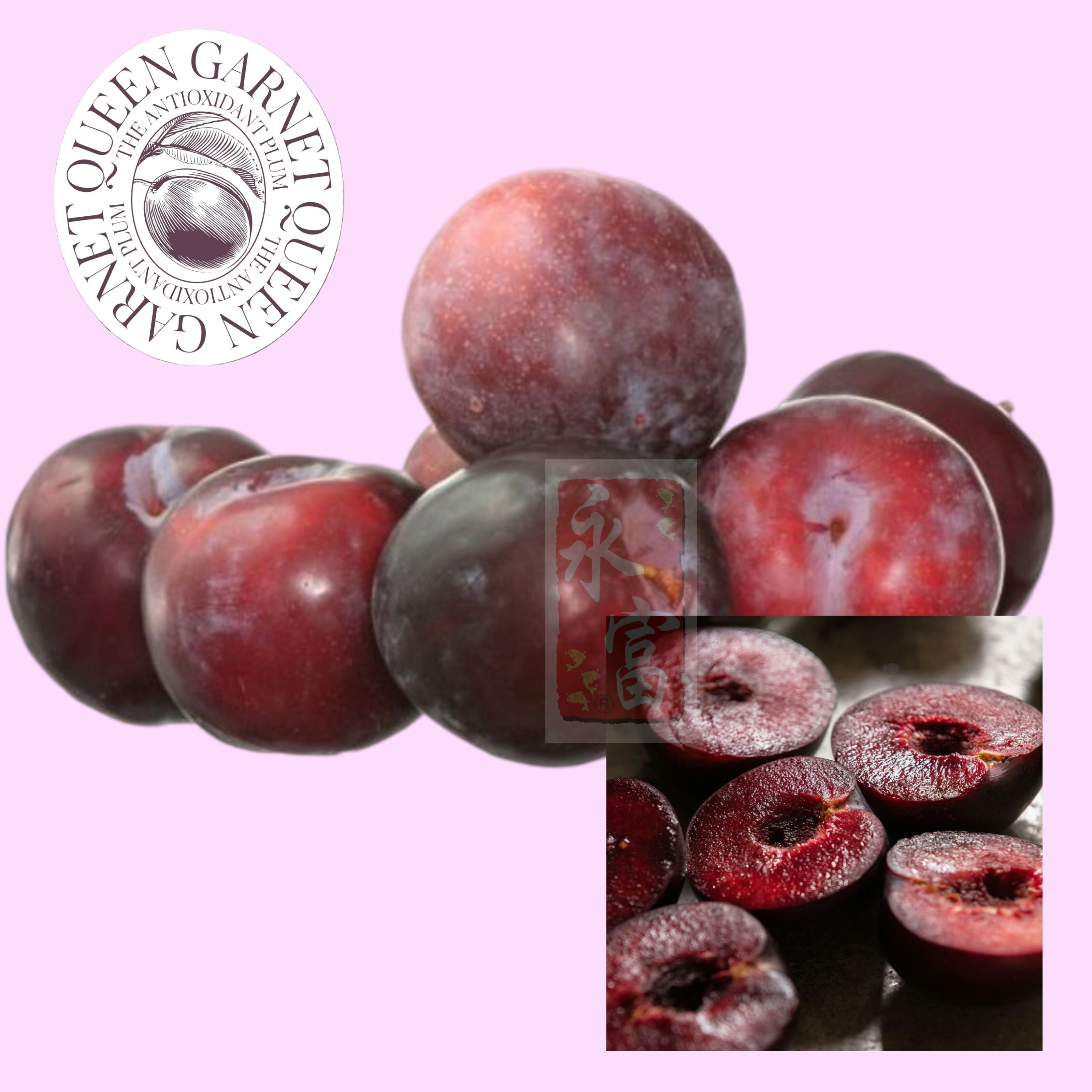 澳洲皇后石榴布冧