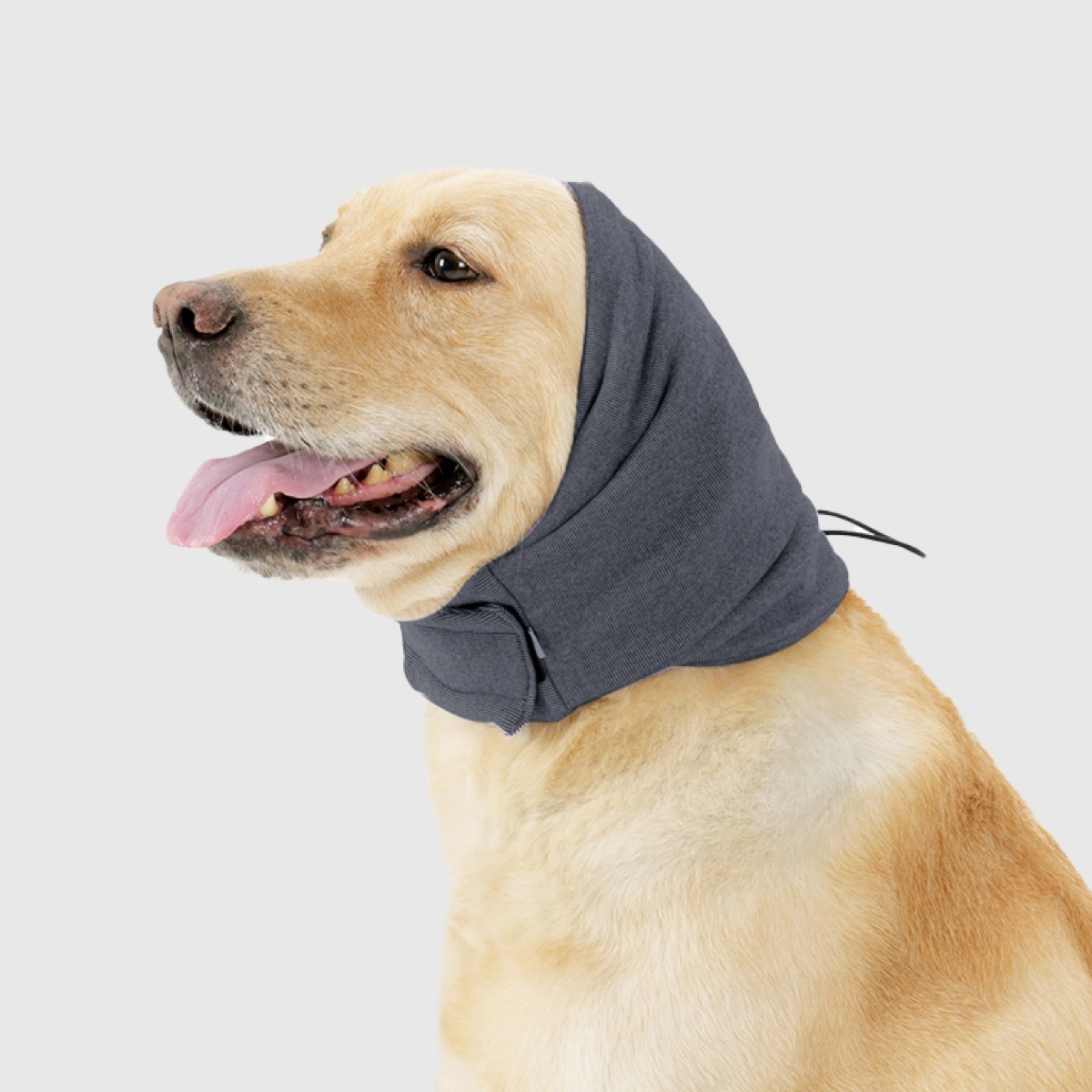 寵物用品｜犬用保暖安撫頭套