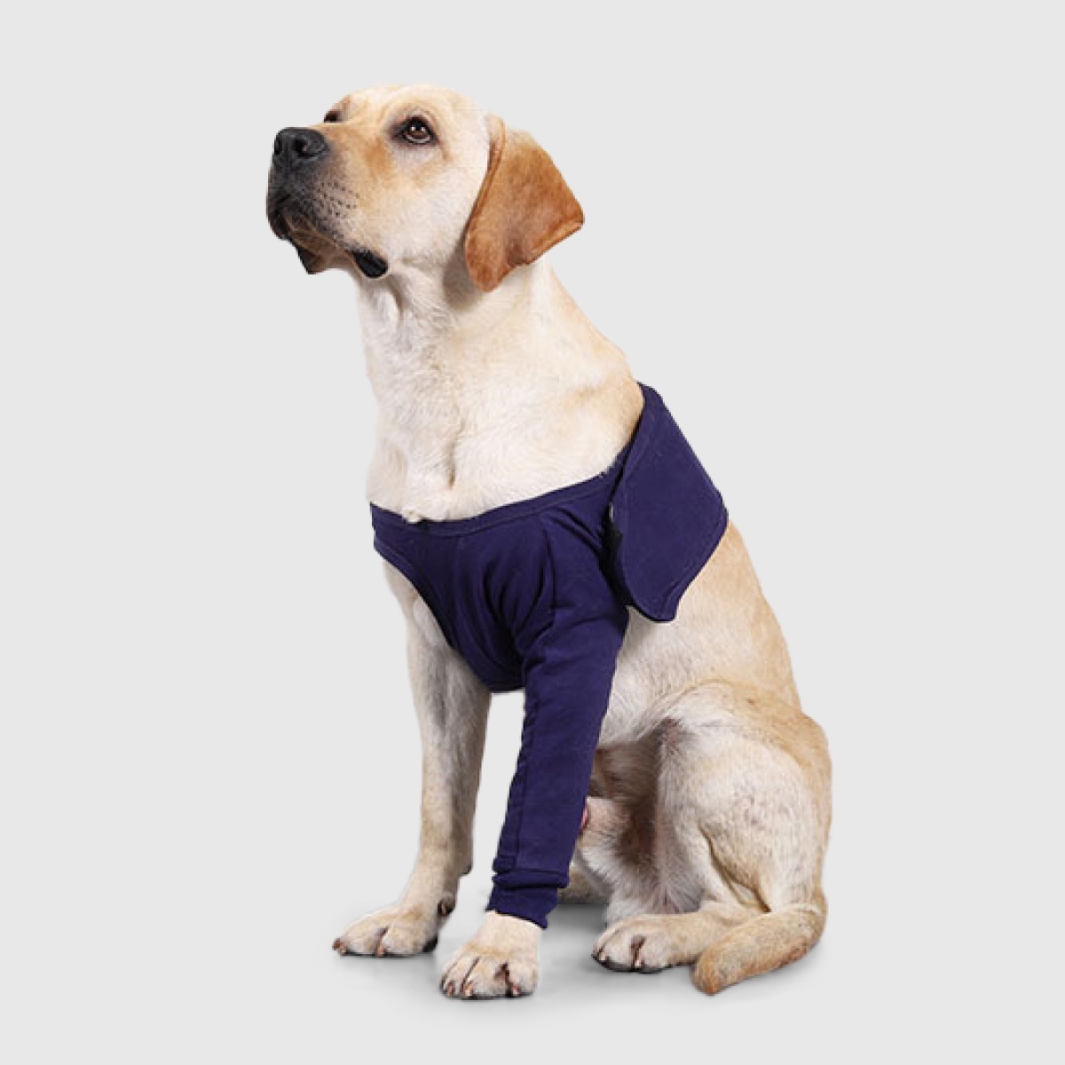 寵物用品｜犬用腿部防舔袖