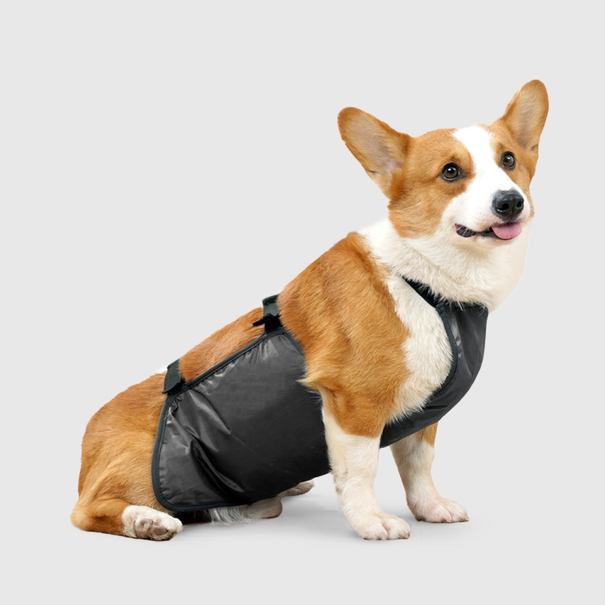 寵物用品｜犬用防水防髒肚兜