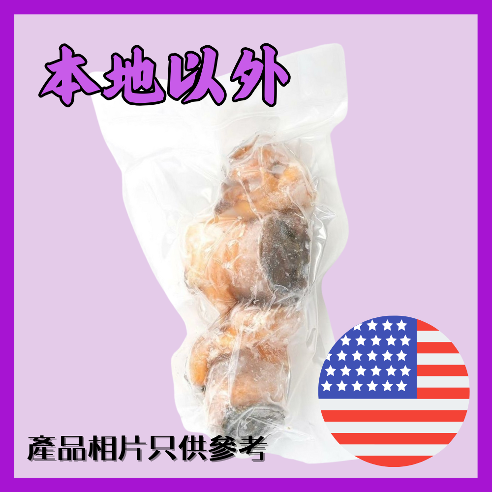 美國 野生 黃螺頭 1 磅裝