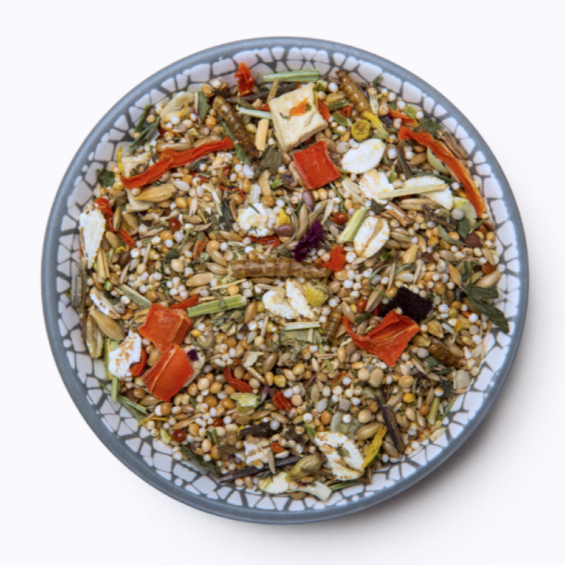 Bunny Nature 專業倉鼠糧 - 500g