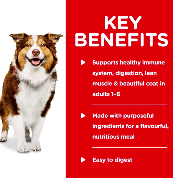 Hill's - 健康燉肉配方 成犬雞肉及蔬菜罐頭 12.5安士 (12罐) 10450