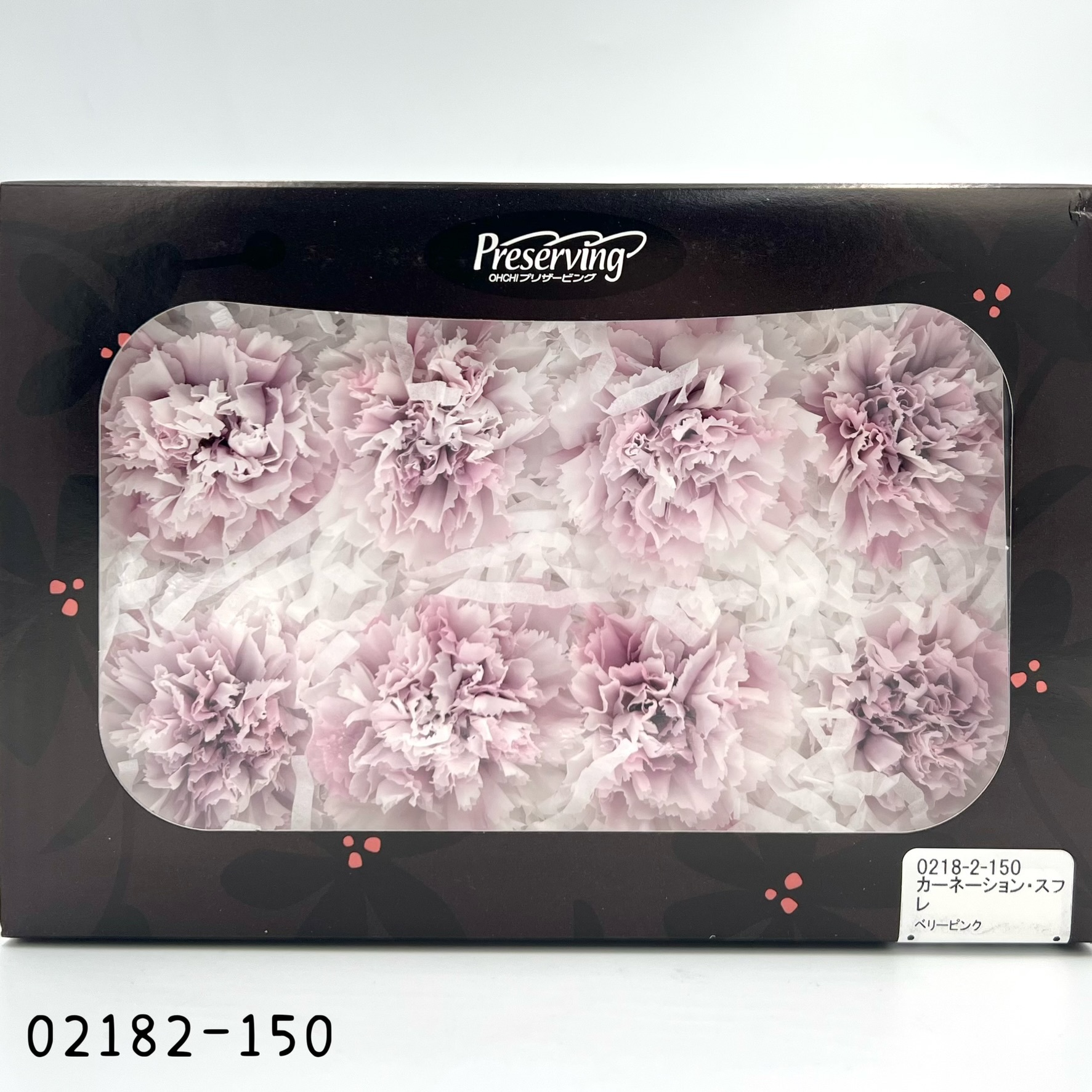 日本不凋漸層康乃馨(8朵) 02182-150