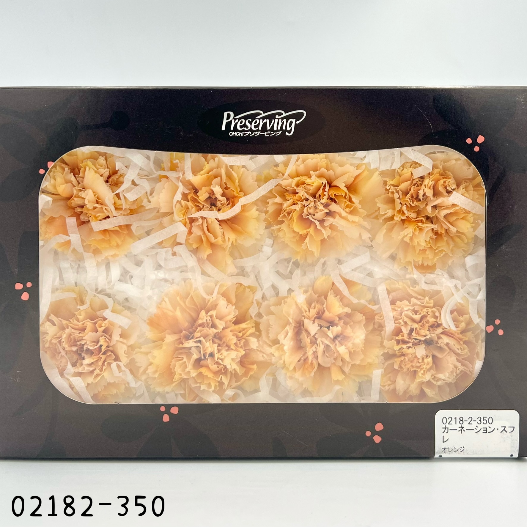 日本不凋漸層康乃馨(8朵) 02182-350