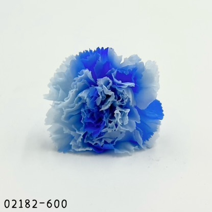 日本不凋漸層康乃馨(8朵) 02182-600