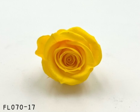 日本不凋中輪玫瑰(8朵) FL070-17