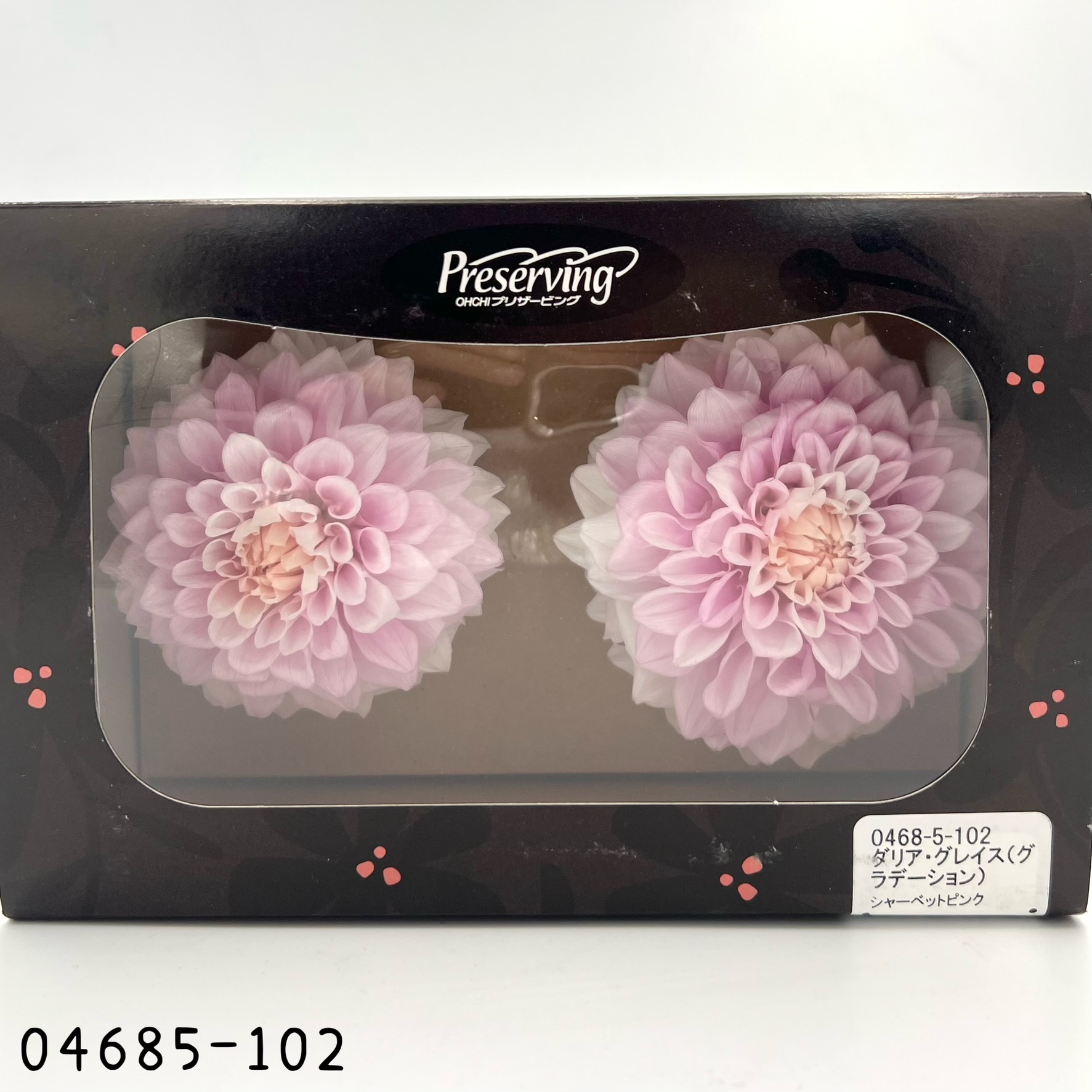 日本不凋漸層大理花(2朵/盒) 04685-102