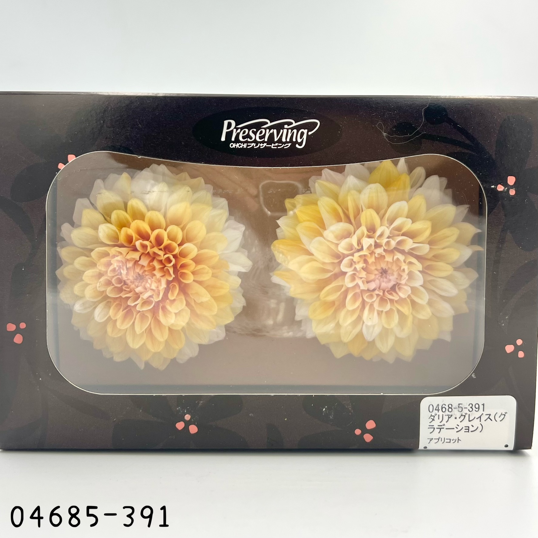 日本不凋漸層大理花(2朵/盒) 04685-391