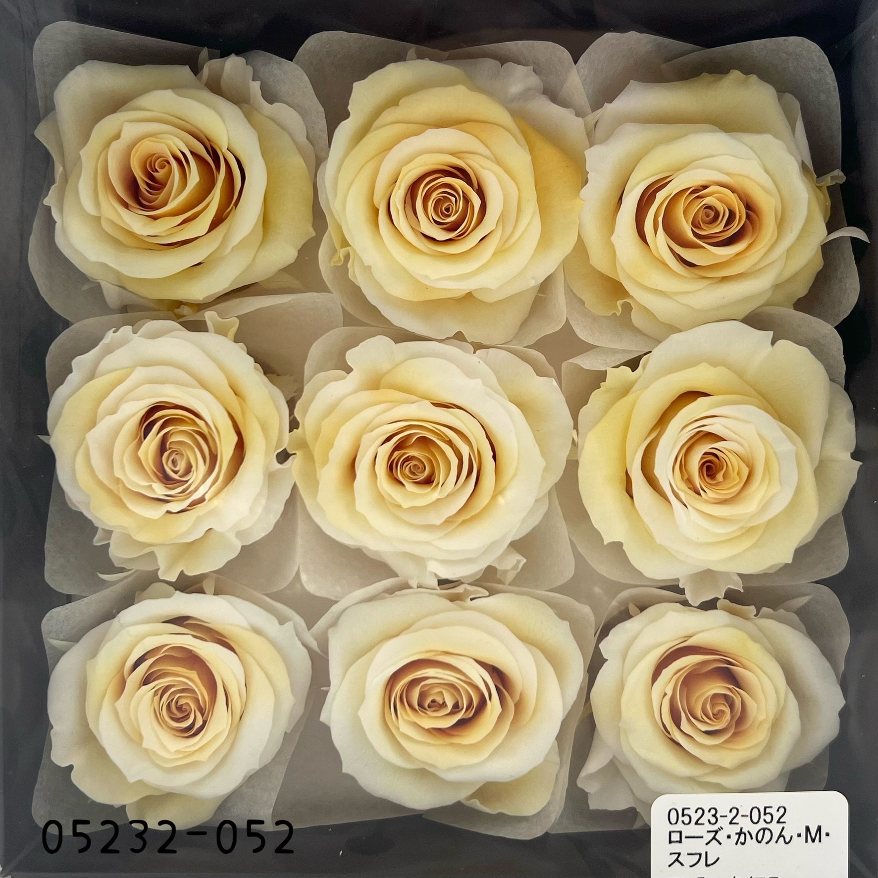 日本不凋大輪漸層玫瑰(9朵) 05232-052