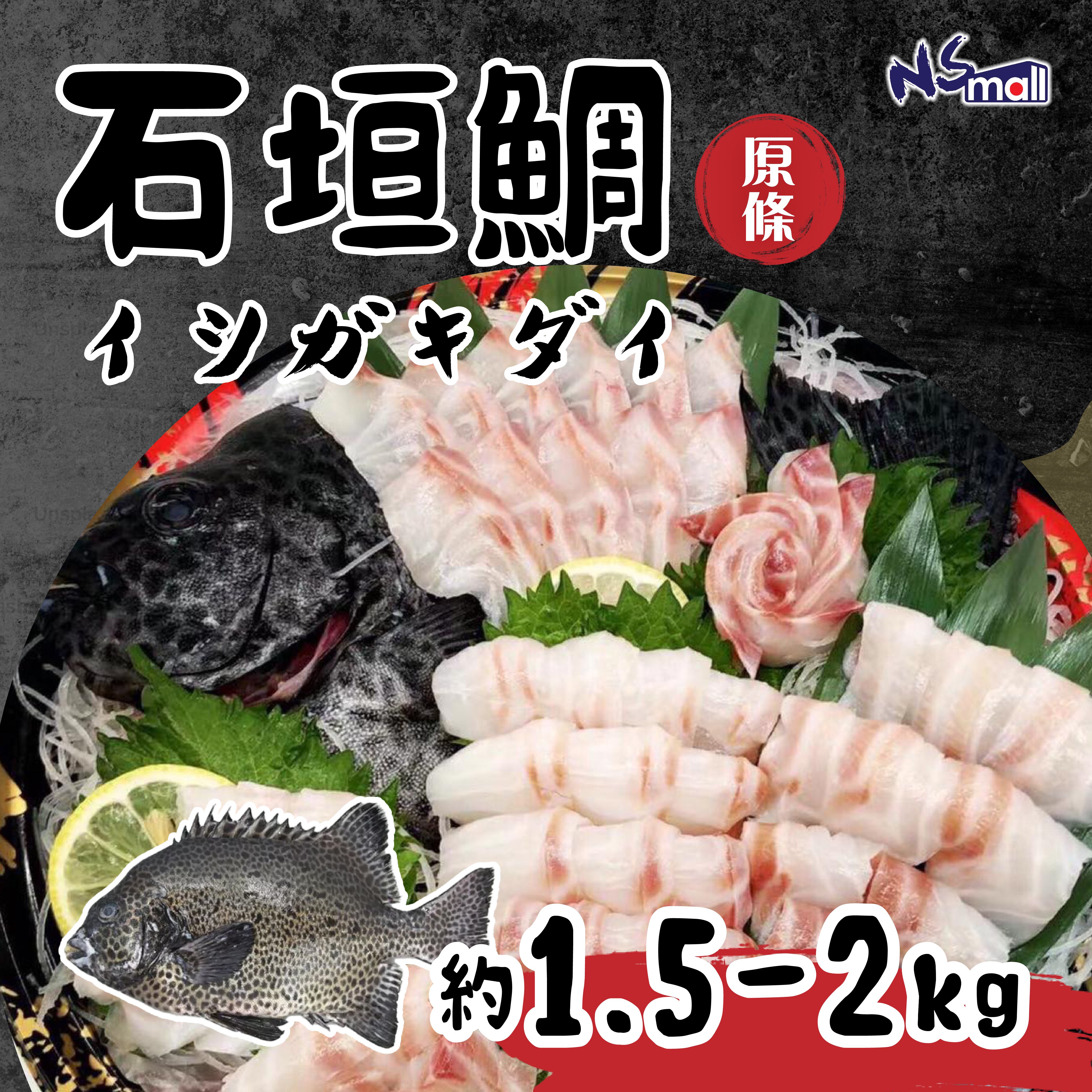 石垣鯛 約1.5-2kg/條