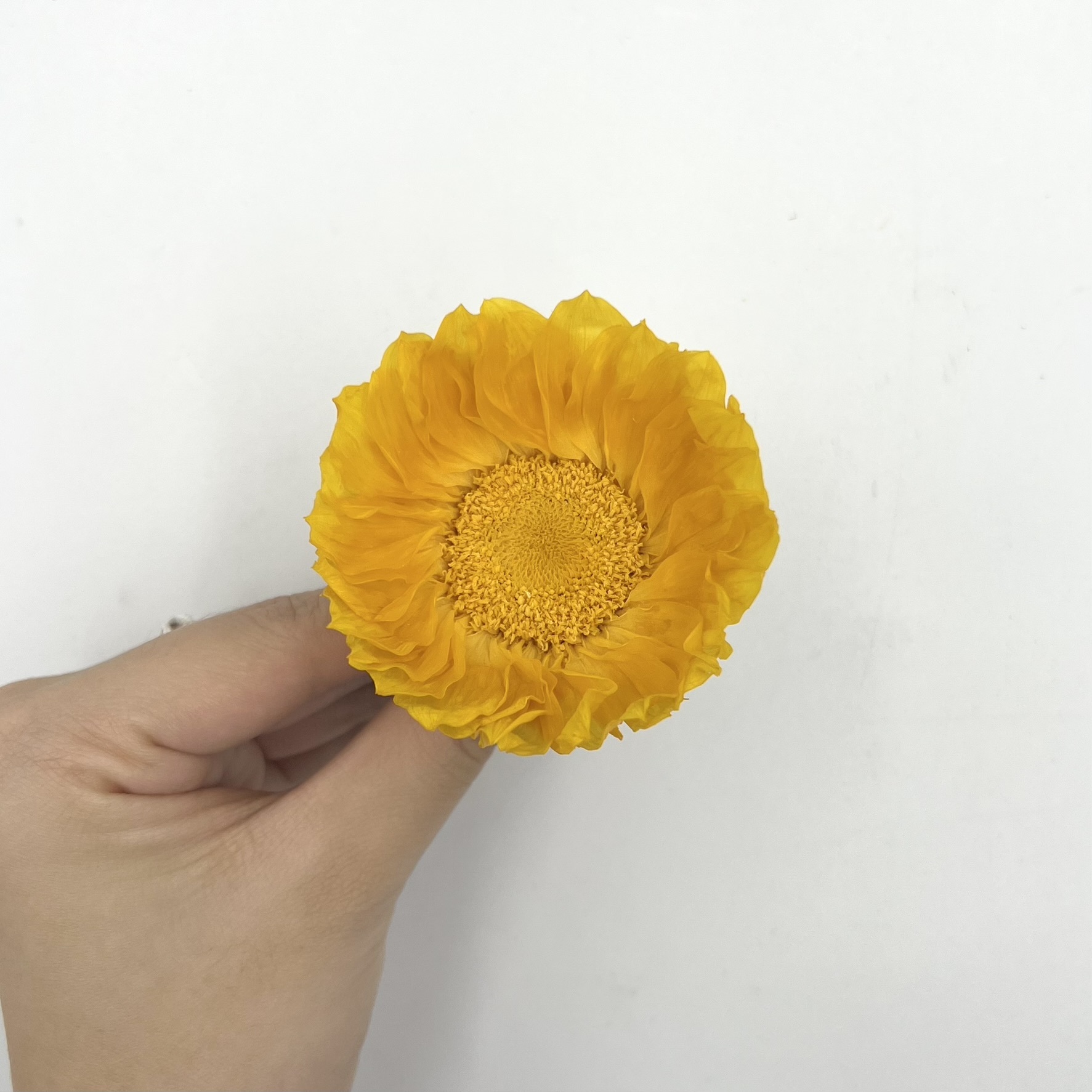 不凋向日葵(6朵/盒)