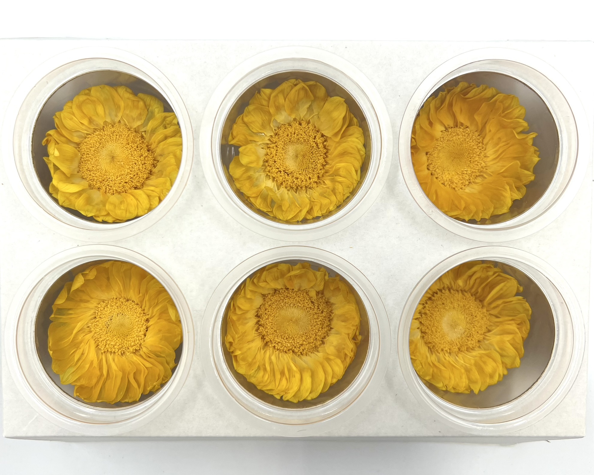 不凋向日葵(6朵/盒)