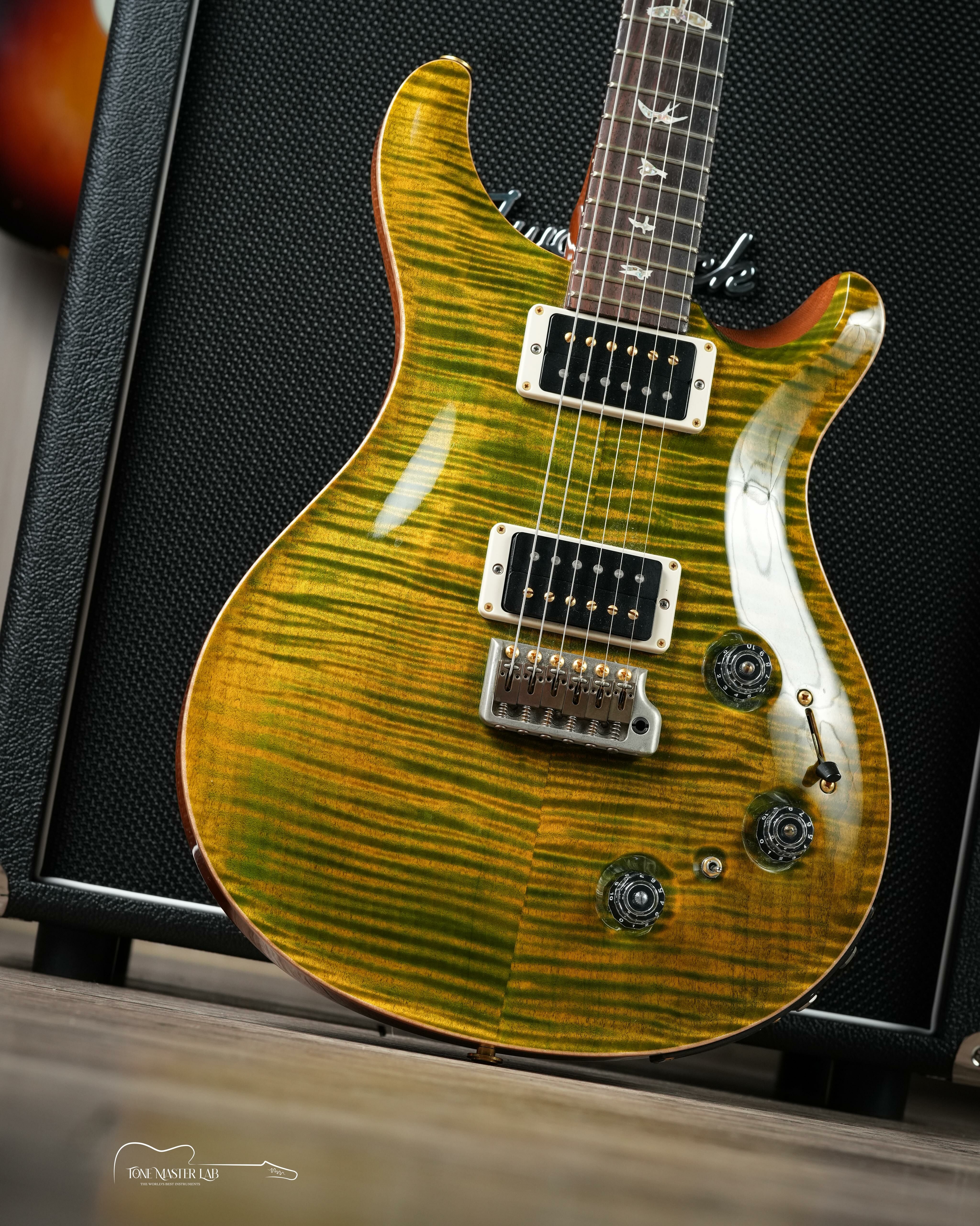 PRS Guitars - Custom 22 Piezo 10-Top Eriza Verde