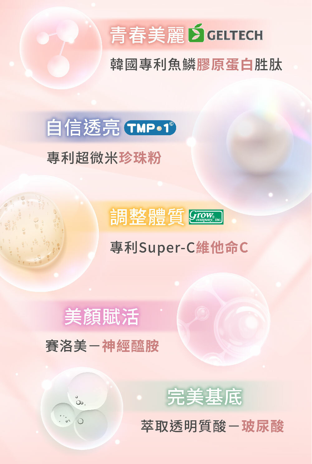 250221韓國膠原-切圖-4