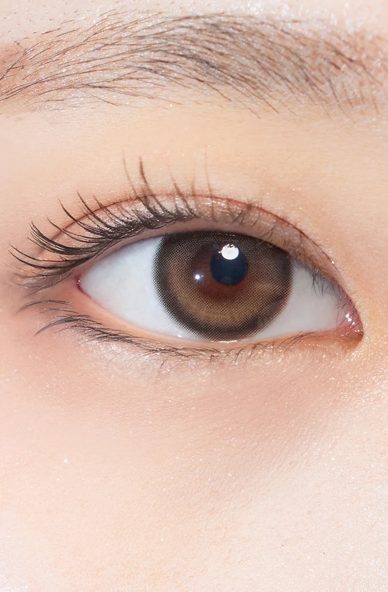 One&Only Kristin Plus (13.8) 1 Day (Brown)(10片)