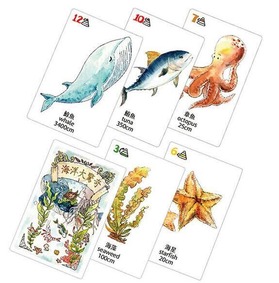 海洋大驚奇 食物鏈教育桌遊 Amazing Ocean Food Chain 繁體中文版