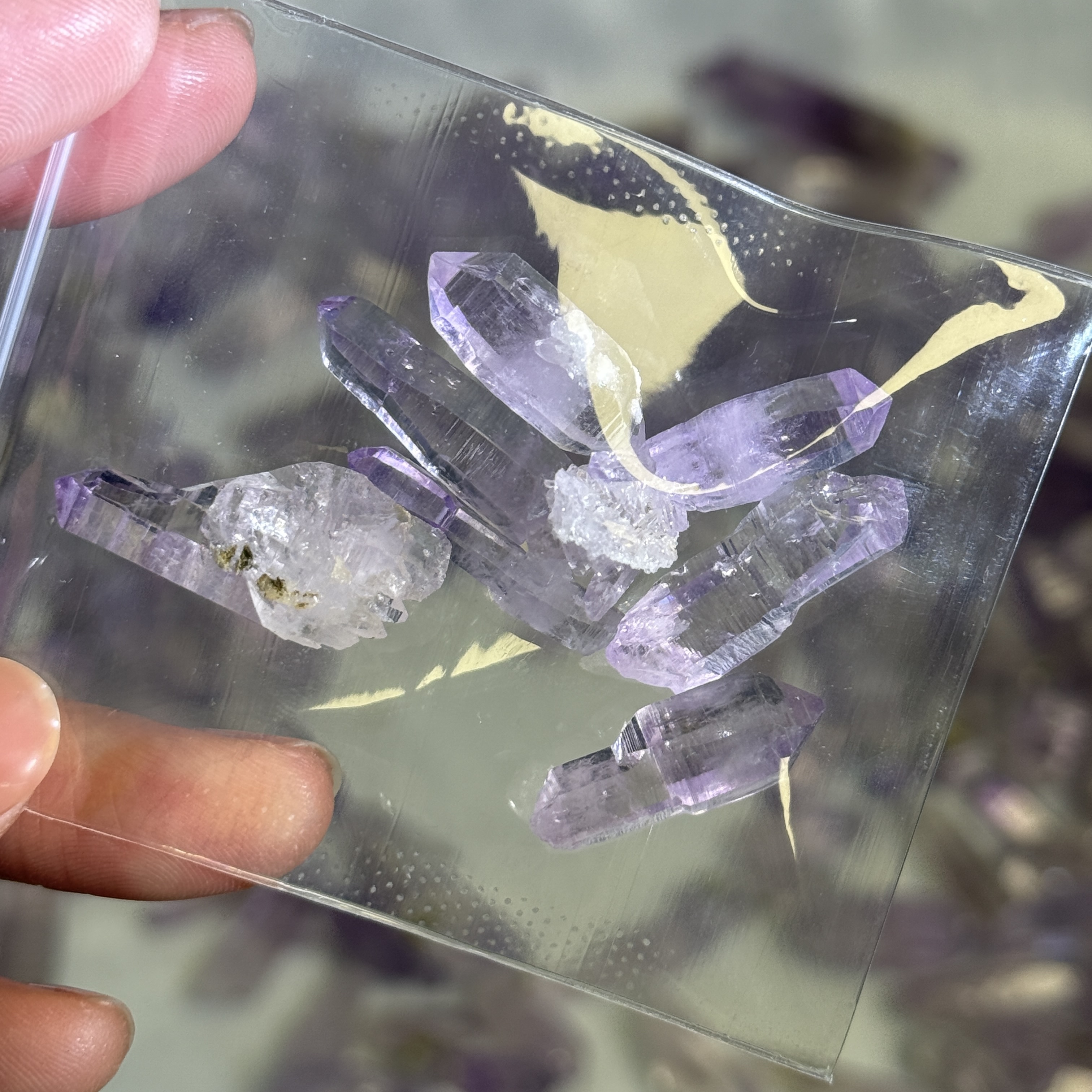 克魯茲1包 VC1602