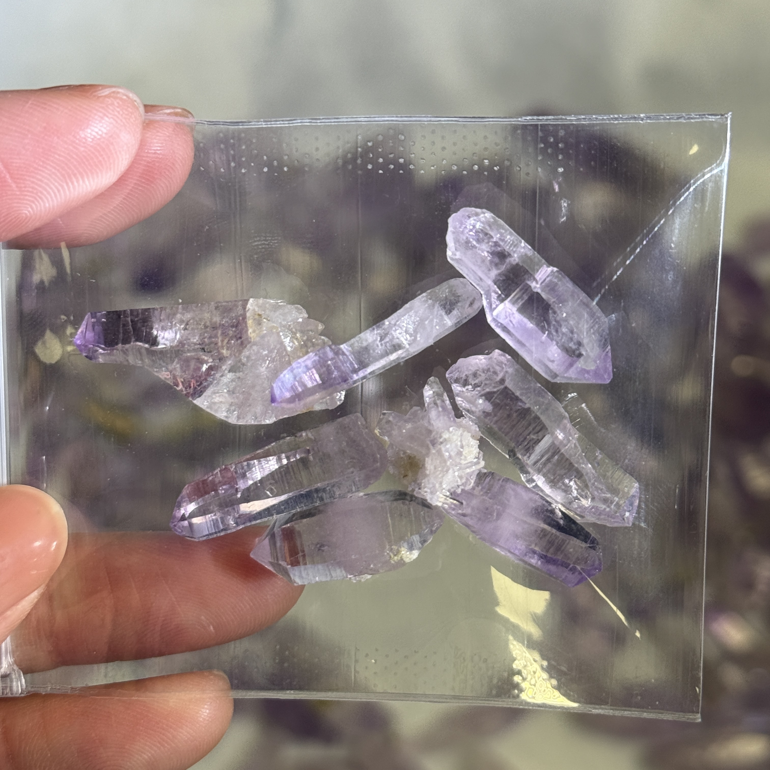 克魯茲1包 VC1602