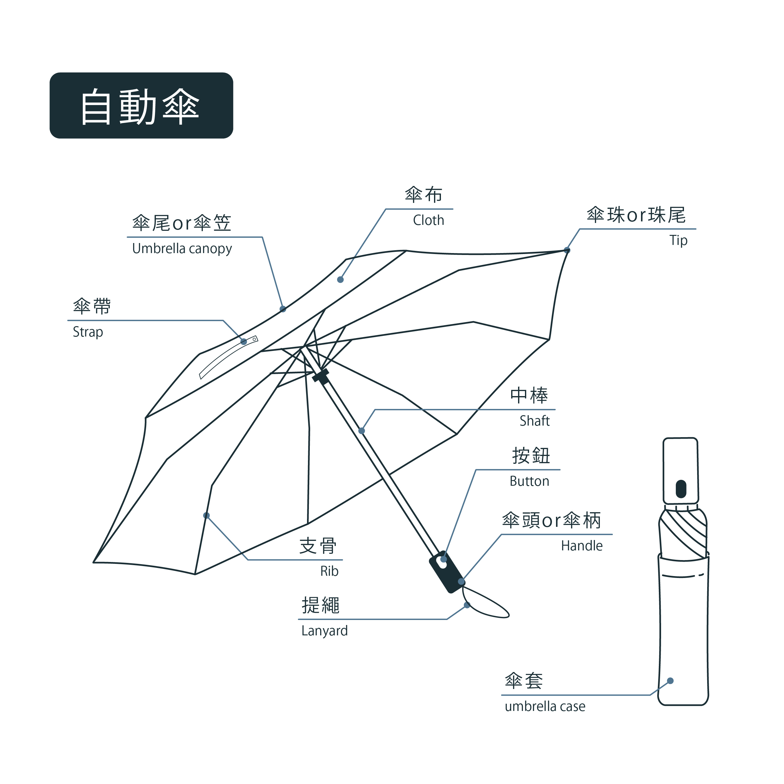 雨傘結構,下雨天,客製化雨傘,禮品傘,遮陽傘,自動傘,自動折傘,傘,傘頭,中棒,支骨,傘布,雨傘部位,雨傘維修,修理雨傘,8k 尺寸,傘架,wpc
