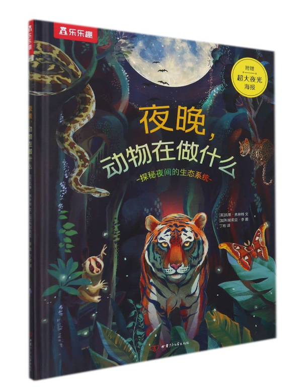 夜晚动物在做什么