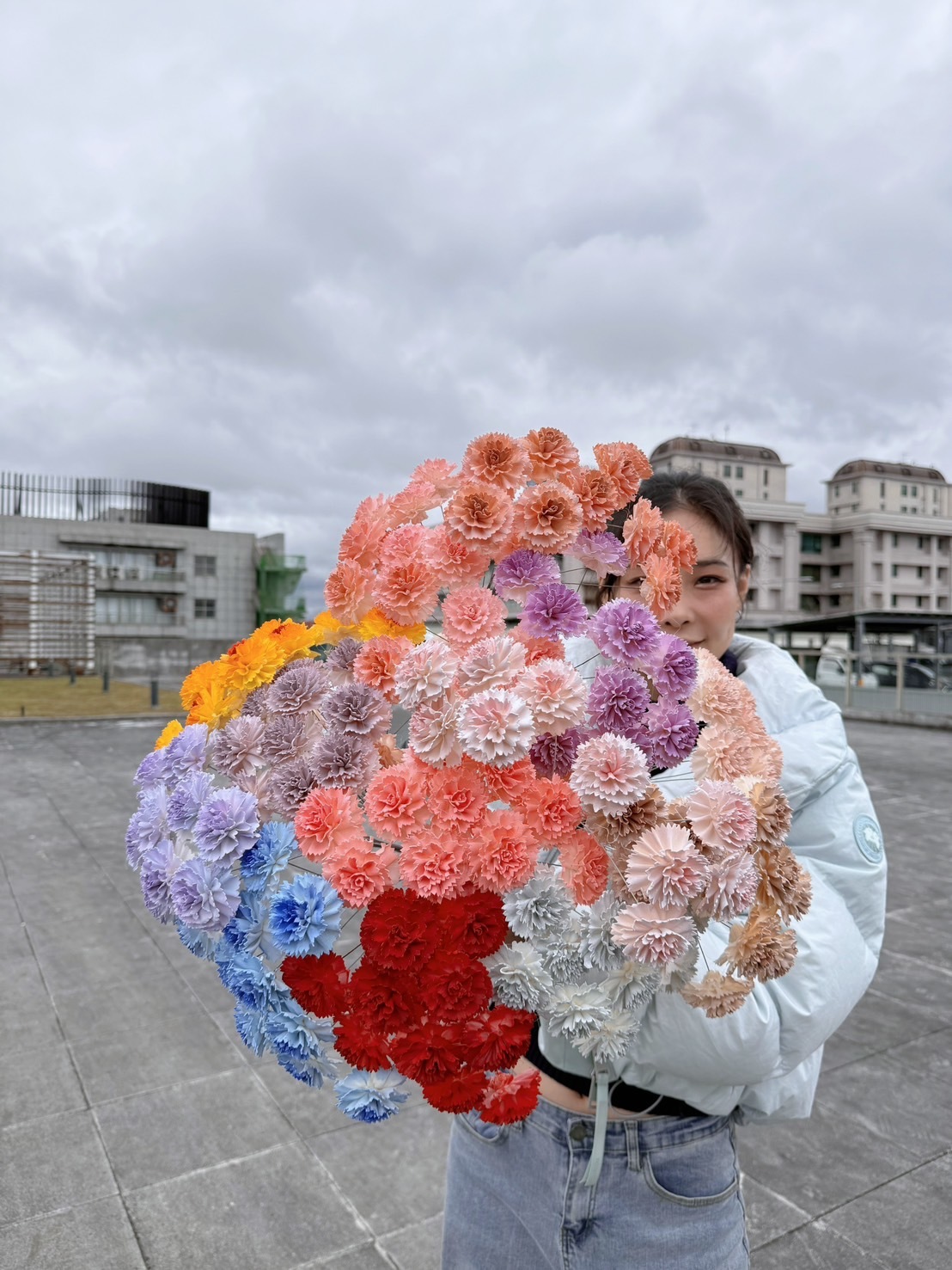 乾燥康乃馨索拉