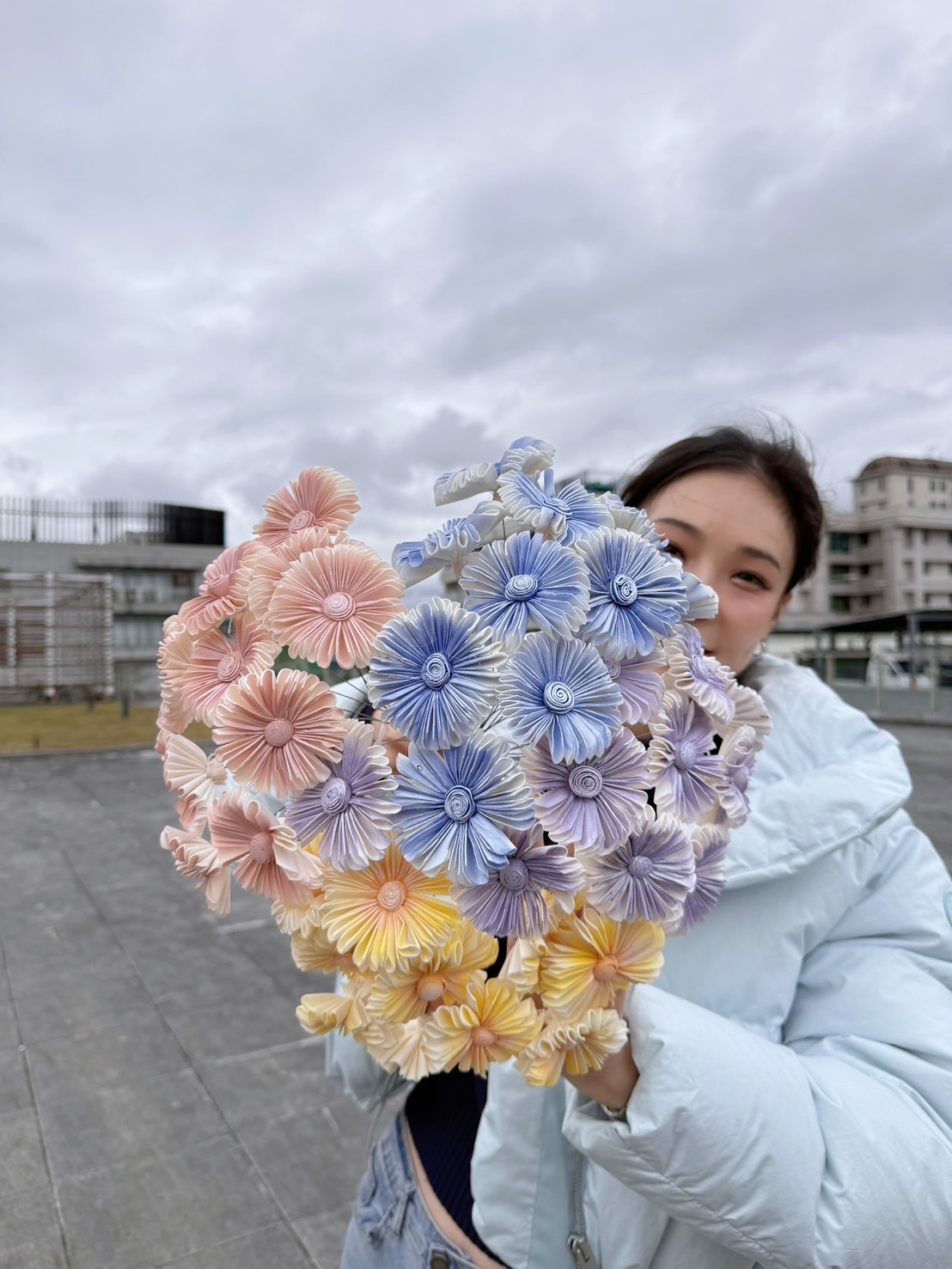 乾燥小雨傘菊索拉