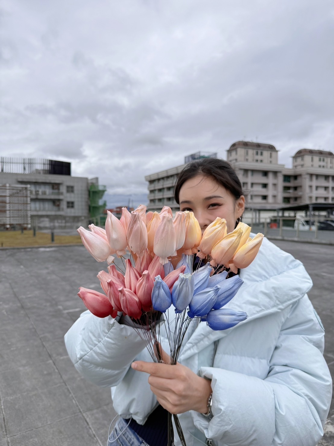 乾燥中型鬱金香索拉